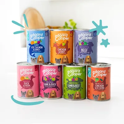 Edgard Cooper nourriture humide pour chiens en différentes variétés : saumon & dinde, poulet & dinde, bœuf, canard & poulet, gibier & canard, agneau & bœuf, poulet & saumon. Pour chiens adultes.