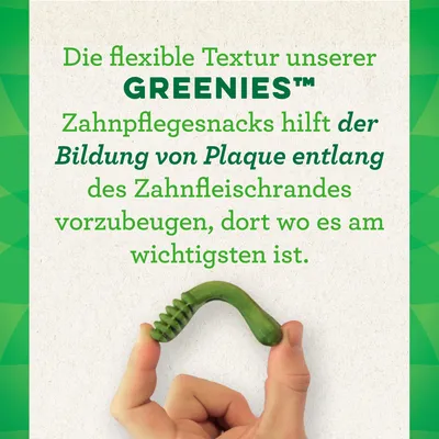 Die flexible Textur der GREENIES™ Zahnpflegesnacks hilft, Plaquebildung entlang des Zahnfleischrandes vorzubeugen, wo es am wichtigsten ist. Snack in Hand gezeigt.
