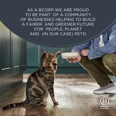 Sparpaket Encore konzerva 32 x 70 g