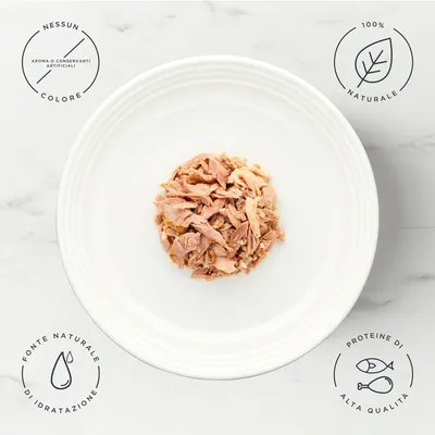 Encore in lattina 32 x 70 g Alimento umido per gatti