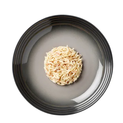 Portion de nourriture humide effilochée servie en boule sur une assiette grise, sans emballage ni marque visible.