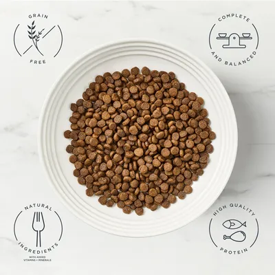 Encore Cat Chicken with Salmon - 800g Encore Cat Chicken with Salmon - 800g