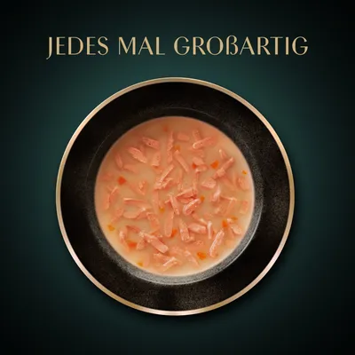 Multipack Sheba Classic Soup Frischebeutel 40 x 40 g