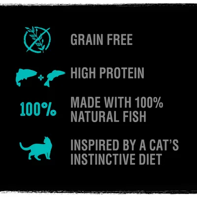 CRAVE Adult Salmon & Whitefish Dry Cat Food