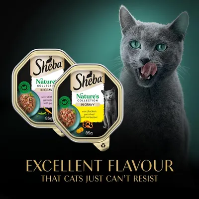 Sheba Nature's Collection in Gravy, 85g packs with chicken garnished with red pepper and salmon garnished with peas. Text: Excellent flavour that cats just can't resist.