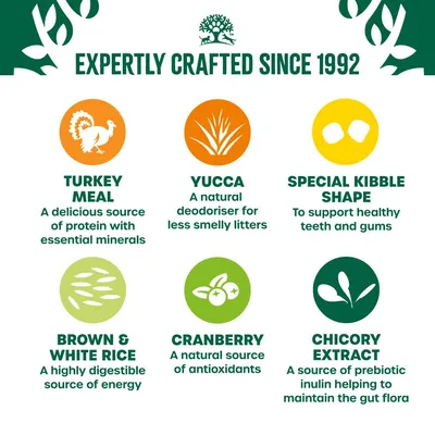 James Wellbeloved Grain Free Adult Cat Hypoallergenic morčacie