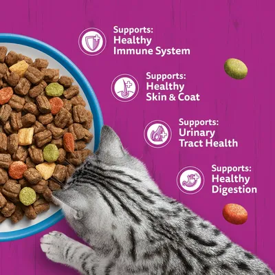 Text in image: Supports: Healthy Immune System, Healthy Skin & Coat, Urinary Tract Health, Healthy Digestion. Cat eating dry food from bowl.