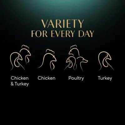 Variety for every day: Chicken & Turkey, Chicken, Poultry, and Turkey options shown as product flavours.