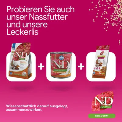 N&D Quinoa Skin & Coat Trockenfutter, Nassfutter und Dental Treat. Wissenschaftlich darauf ausgelegt, zusammenzuwirken. Probieren Sie auch unser Nassfutter und unsere Leckerlis.