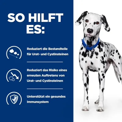 So hilft es: Reduziert die Bestandteile für Urat- und Cystinsteine, reduziert das Risiko eines erneuten Auftretens von Urat- und Cystinsteinen, unterstützt ein gesundes Immunsystem.