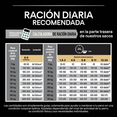 Tabla de ración diaria recomendada para perros según peso corporal y edad. Incluye cantidades en gramos por día para gestación, lactación y cachorros de 1,5 a 24 meses.