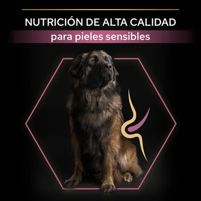 NUTRICIÓN DE ALTA CALIDAD para pieles sensibles, texto sobre imagen de perro grande sentado dentro de un hexágono con gráfico abstracto junto al lomo.