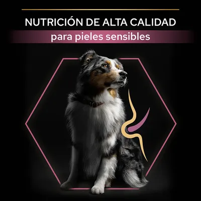 NUTRICIÓN DE ALTA CALIDAD para pieles sensibles, texto sobre imagen de un perro sentado con gráfico decorativo en el costado. Texto en español visible en la imagen.