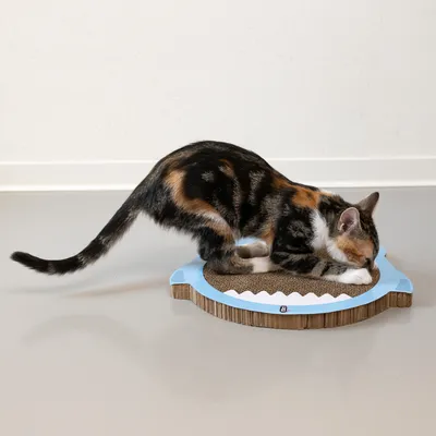 Chat tricolore sur un griffoir en carton ondulé avec bordure bleue, posé au sol. Le produit est utilisé par le chat, aucun texte visible.