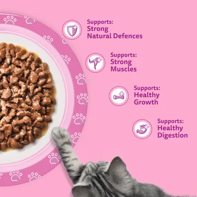 Whiskas Junior Pouches 84 x 85g