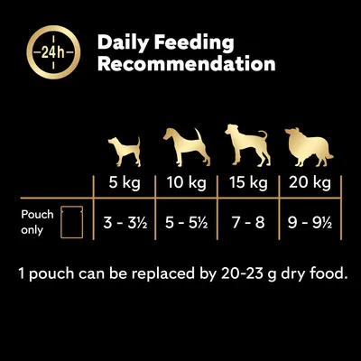 Cesar 10+ Senior Selection in Jelly