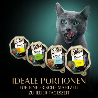 Megapack Sheba Varietäten Schälchen 48 x 85 g