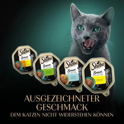 Sheba Sauce Collection, barquettes de 85 g avec chat gris. Texte en allemand : AUSGEZEICHNETER GESCHMACK DEM KATZEN NICHT WIDERSTEHEN KÖNNEN.