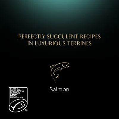 Sheba Classic Terrine Trays - Salmon (22 x 85g) Sheba Classic Terrine Trays - Salmon (22 x 85g)