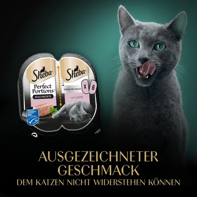 Sheba Perfect Portions Edle Pastete Frische-Pack mit Lachs, MSC-zertifiziert, Packung enthält 6 Portionen. Ausgezeichneter Geschmack, dem Katzen nicht widerstehen können.