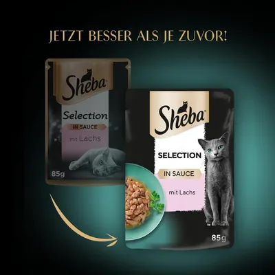 Sheba Selection in Sauce mit Lachs, 85g. Jetzt besser als je zuvor! Neues Verpackungsdesign mit Abbildung von Lachs in Sauce und einer grauen Katze.