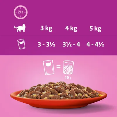 Feeding guide showing daily portions by weight: 3kg cat, 3 to 3.5 pouches; 4kg, 3.5 to 4 pouches; 5kg, 4 to 4.5 pouches. One pouch equals 16g of dry food.