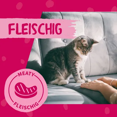 Texte visible : FLEISCHIG, MEATY, FLEISCHIG. Texte en allemand et anglais sur une image avec un chat assis sur un canapé gris à côté d'une main humaine.