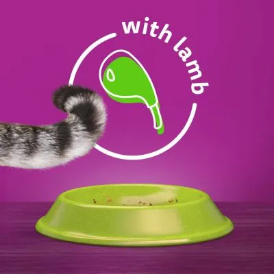 Grön matskål med matrester, kattens svans synlig. Text: with lamb och illustration av ett lammben på lila bakgrund.
