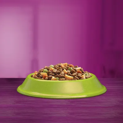 Bowl filled with assorted dry pet food pieces in various shapes and colours, displayed on a purple surface with a plain background.