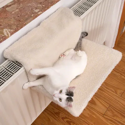 Macskafekhely puha, fehér plüss anyagból, radiátorra rögzítve. Fehér macska pihen rajta.