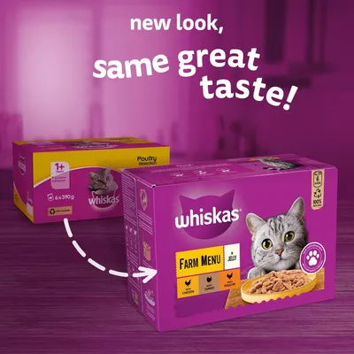 Confezioni di cibo per gatti Whiskas Farm Menu in Jelly, visibili scritte 'new look, same great taste!', 6x390g, pollo, tacchino, pollame. Immagine di un gatto sulla scatola.