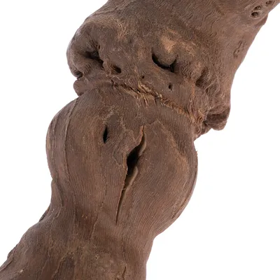 Close-up of a natural piece of wood with a rough surface and visible grain.