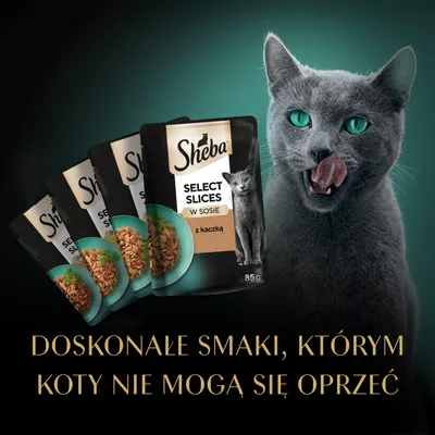 Sheba Select Slices w sosie z kaczką, 85g. Doskonałe smaki, którym koty nie mogą się oprzeć. Sheba Select Slices w sosie z kaczką, 85g. Doskonałe smaki, którym koty nie mogą się oprzeć.