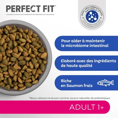 Perfect Fit Adult 1+ croquettes, avec des prébiotiques naturels, pour aider à maintenir le microbiome intestinal, élaboré avec des ingrédients de haute qualité, riche en saumon frais.