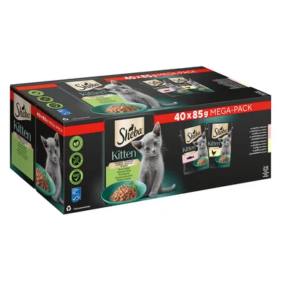 Sheba Kitten Mega-Pack, 40 x 85g, wet food for kittens, two varieties: poultry and fish. Suitable for cats aged 2-12 months.