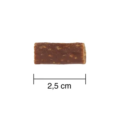 Slika rjavega prigrizka dolžine 2,5 cm, prikazana z merilom.
