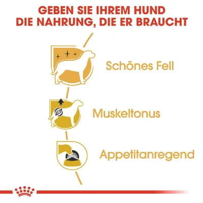 Grafik mit Text: 'Geben Sie Ihrem Hund die Nahrung, die er braucht'. Vorteile: Schönes Fell, Muskeltonus, Appetitanregend. Royal Canin Logo unten.