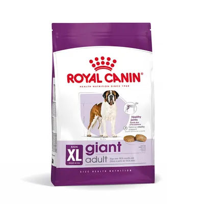 Royal Canin Giant Adult crocchette per cani oltre 45 kg, dai 18/24 mesi. Supporta articolazioni sane e vitalità ottimale. Taglia XL, confezione viola.