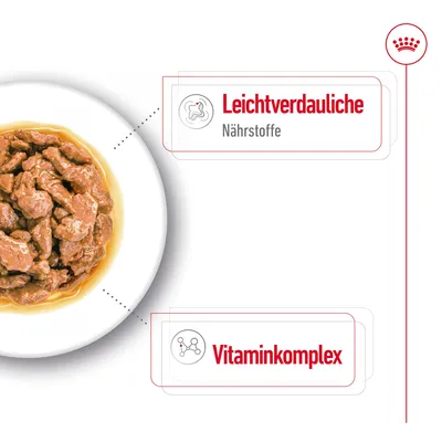 Nahaufnahme von Nassfutter mit hervorgehobenen Eigenschaften: leichtverdauliche Nährstoffe und Vitaminkomplex.
