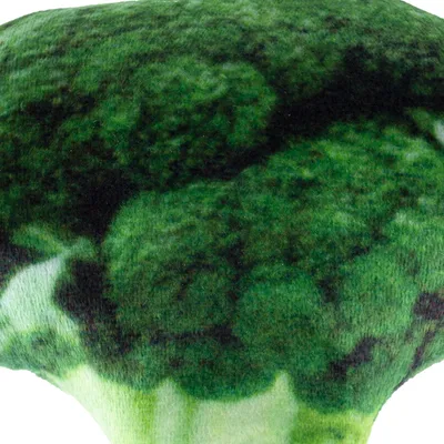 Knuffeldier in de vorm van broccoli met groene, zachte stof en gedetailleerde structuur.