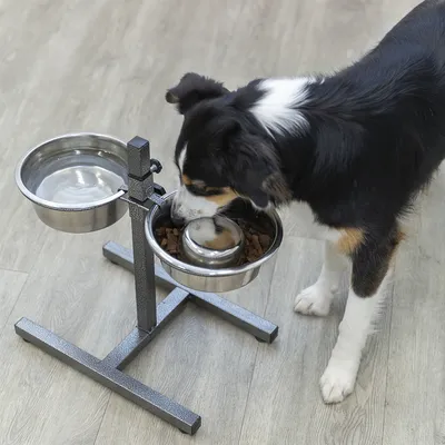Hund frisst aus höhenverstellbarem Futterständer mit zwei Edelstahlnäpfen für Wasser und Trockenfutter.