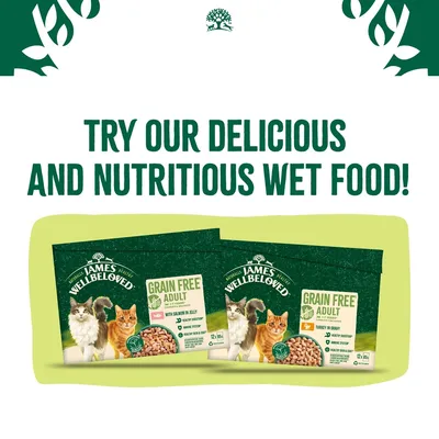 Promotional image for James Wellbeloved grain free adult wet food, highlighting salmon in jelly and turkey in gravy varieties. Text: Try our delicious and nutritious wet food.