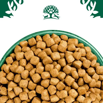 Bowl filled with small, square-shaped dry food pieces. Green tree and animal symbol shown above the bowl.