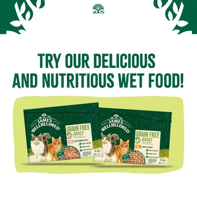 James Wellbeloved grain free adult wet food packs with visible text: Try our delicious and nutritious wet food. Flavours shown are salmon in jelly and turkey in gravy.