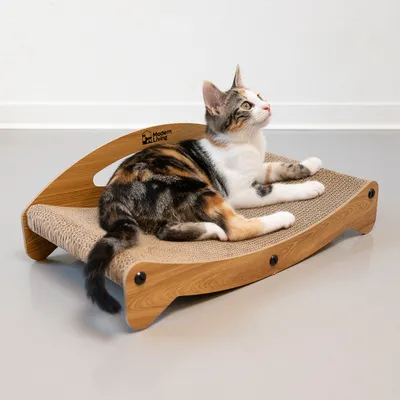Modern Living grebalica od drva s zakrivljenom površinom za grebanje. Mačka leži opušteno na njoj.
