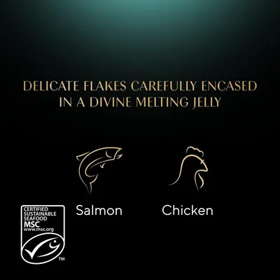 Delicate flakes in melting jelly. Available in salmon and chicken flavours. Certified sustainable seafood MSC.