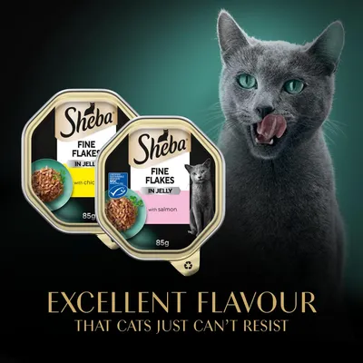 Sheba Fine Flakes in Jelly with chicken and salmon, 85g packs. Text: Excellent flavour that cats just can't resist.