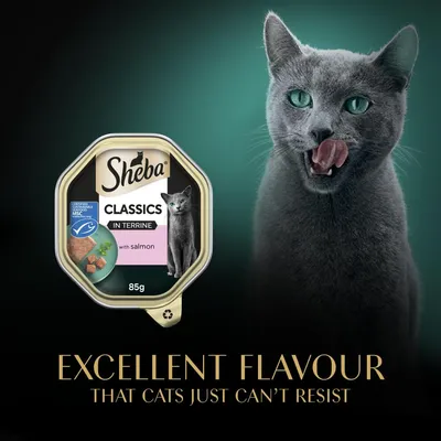 Sheba Classics in Terrine with salmon, 85g. Certified sustainable seafood. Text: Excellent flavour that cats just can’t resist.