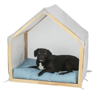 Schwarzer Hund liegt in einem Holzhaus mit weißem Stoffdach und blauem Kissen.