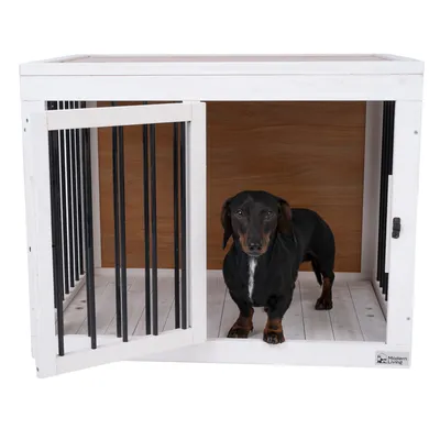 Hund in weissem Holzgehege mit schwarzen Metallstäben und brauner Rückwand. Gehege von Modern Living, Tür geöffnet.